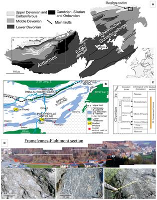Magnetic Susceptibility Record in Paleozoic Succession (Rhenohercynian Massif, Northern Europe) – Disentangling Sea Level, Local and Diagenetic Impact on the Magnetic Records